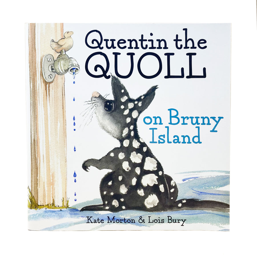 Quentin the QUOLL - on Bruny Island