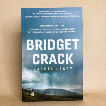 Bridget Crack by Rachel Leary